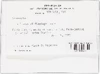 Image Associated With the Occurrence