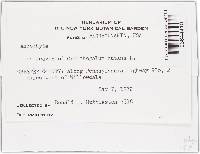 Image Associated With the Occurrence