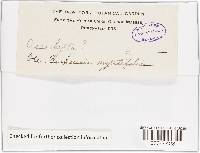 Image Associated With the Occurrence