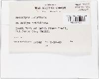 Image Associated With the Occurrence