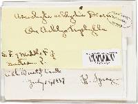 Image Associated With the Occurrence