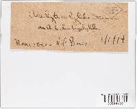 Image Associated With the Occurrence