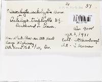 Image Associated With the Occurrence