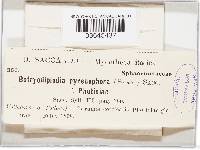 Image Associated With the Occurrence