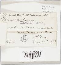 Image Associated With the Occurrence