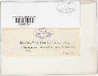 Media resource of Fumiglobus ampullula