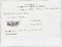 Image Associated With the Occurrence