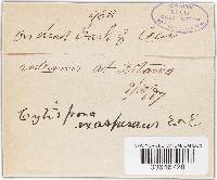 Image Associated With the Occurrence