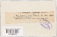 Image Associated With the Occurrence