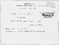 Image Associated With the Occurrence