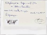 Image Associated With the Occurrence