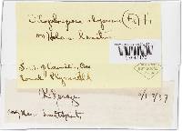 Image Associated With the Occurrence