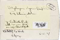 Image Associated With the Occurrence