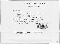 Image Associated With the Occurrence