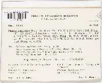 Image Associated With the Occurrence