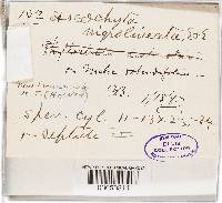 Image Associated With the Occurrence