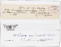 Image Associated With the Occurrence