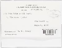 Image Associated With the Occurrence