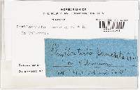 Image Associated With the Occurrence