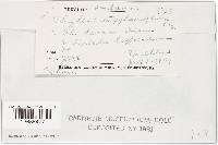 Image Associated With the Occurrence