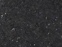 Xylaria schweinitzii image