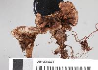 Image Associated With the Occurrence