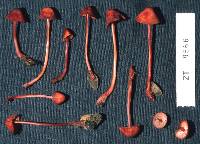 Image Associated With the Occurrence