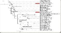Media resource of Lanatonectria flocculenta