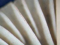 Mycena olivaceomarginata image