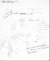 Pleurotopsis longinqua image