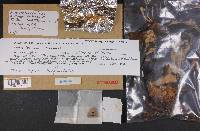Thumbnail image of current specimen