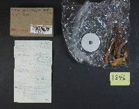 Image Associated With the Occurrence