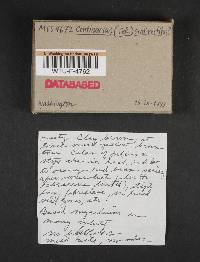 Image Associated With the Occurrence