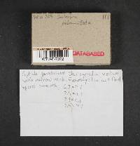 Image Associated With the Occurrence