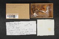 Image Associated With the Occurrence