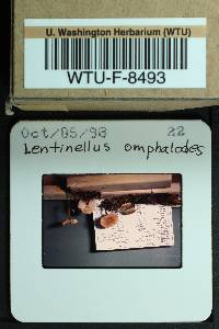 Thumbnail image of current specimen