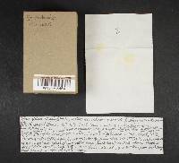 Image Associated With the Occurrence