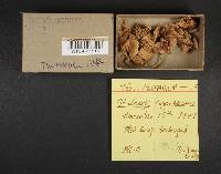 Image Associated With the Occurrence