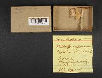 Image Associated With the Occurrence