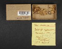 Image Associated With the Occurrence