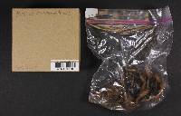Thumbnail image of current specimen