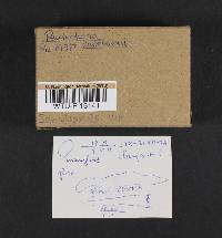 Image Associated With the Occurrence