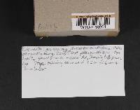 Image Associated With the Occurrence