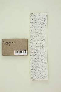 Image Associated With the Occurrence