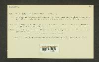 Media resource of Naucoria washingtonensis