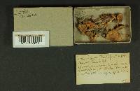 Image Associated With the Occurrence