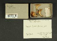 Image Associated With the Occurrence