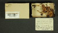 Image Associated With the Occurrence