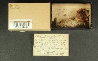 Image Associated With the Occurrence