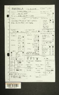 Thumbnail image of current specimen